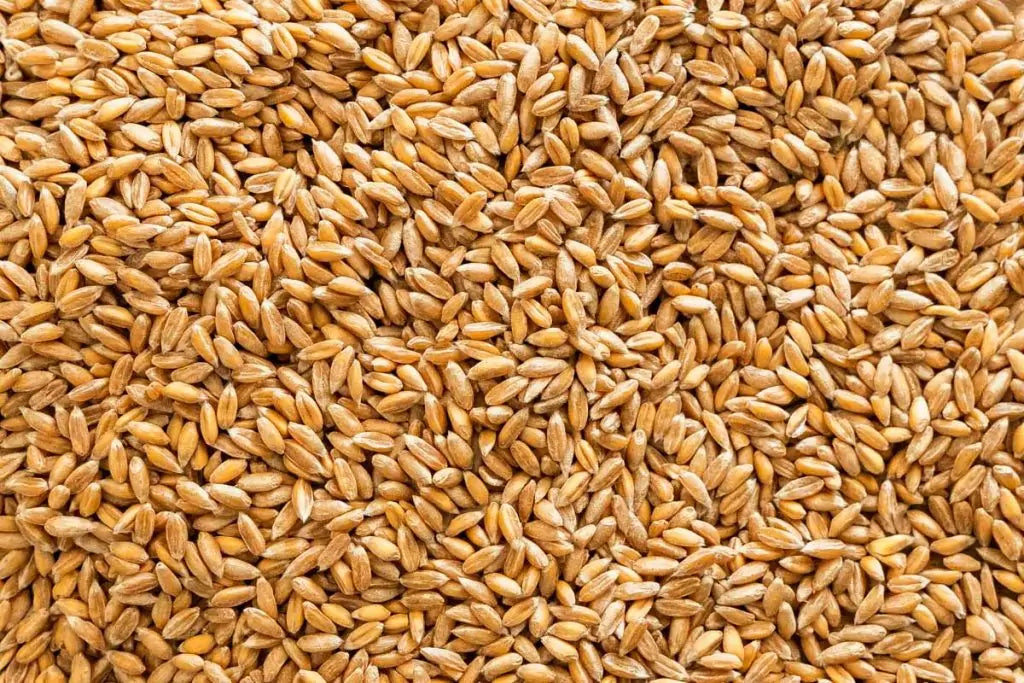 Organic Whole Grains