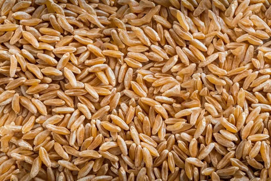 Organic Khorasan (Kamut) Grain