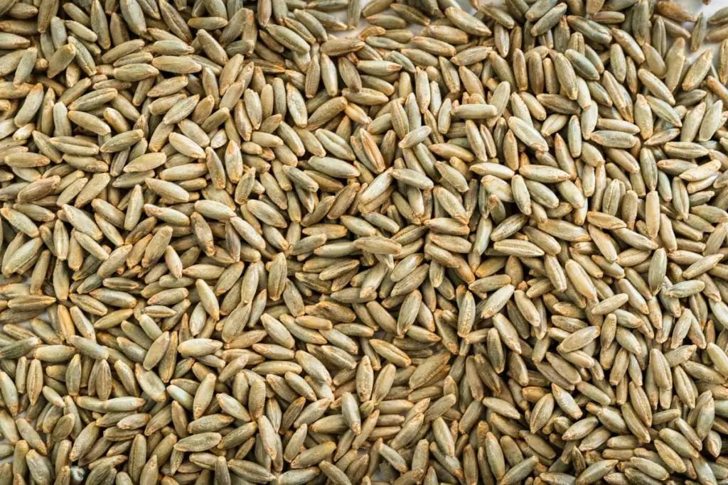 Organic Rye Grain – Whole Grain, Nutrient-Dense & Perfect for Baking ...